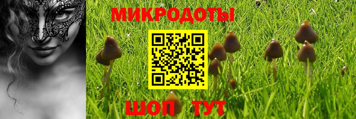 Жуковский  Псилоцибиновые грибы MAGIC MUSHROOMS  Вход с VPN 