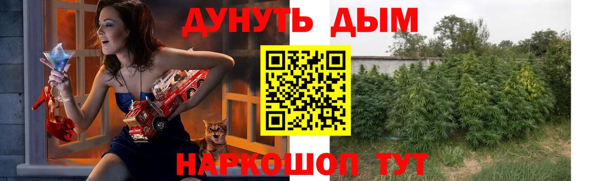Каннабис семена  Каннабис Bruce Banner  Шишки марихуана THC 21%  Вход с VPN  Жуковский 